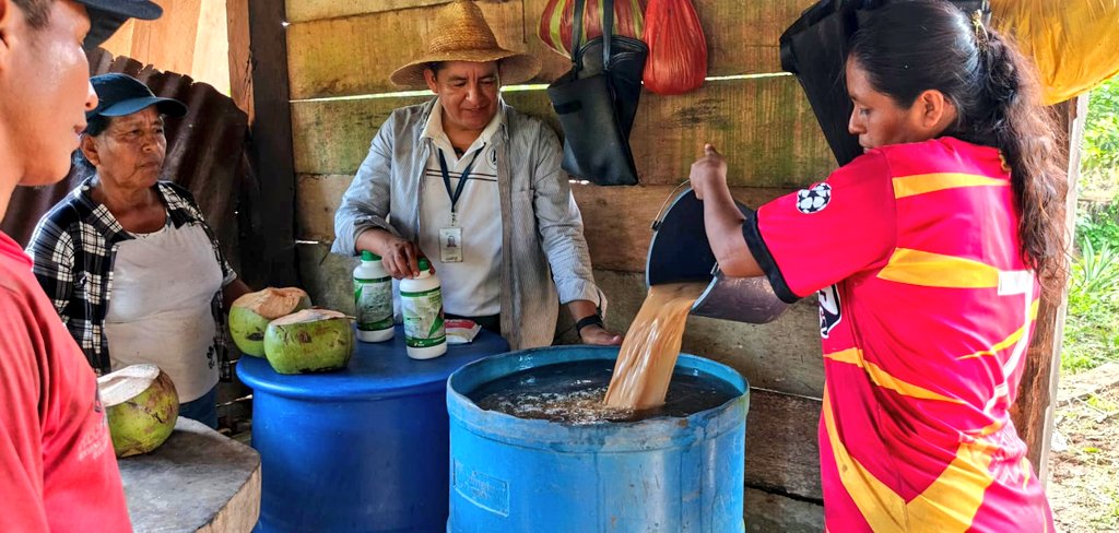 Agricultura_CZ2's tweet photo. #Orellana |🌱🌳 ¡Multiplicamos vida!
Con 200 kg de microorganismos y 200 L de Trichoderma, produciremos 3.200 L y llenaremos 100 tanques 💧
14 productores de la Escuela de Campo de El Inca en Loreto impulsan esta revolución verde.
#MAGContigo #BioInnovación
#ElNuevoEcuador 🇪🇨 https://t.co/WgheisWyh9
