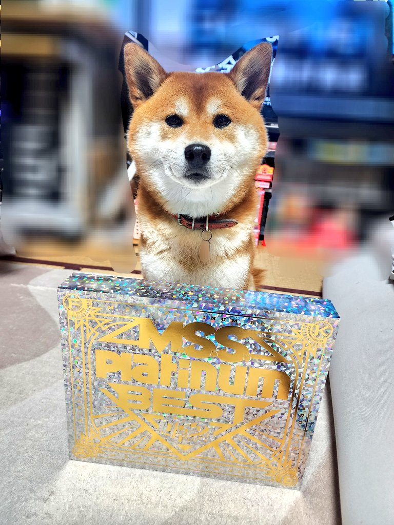 Rai_rairai_'s tweet image. キラッキラです
 #MSSPフォト