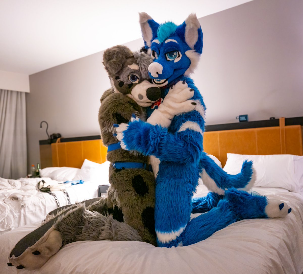 Dexter Shepherd (@dextershepherd) on Twitter photo At FWA I got dragged away by <a href="/MarMarHusky/">MarMar Hoosk ๐ FWA, CFZ</a> I should have known but I didn't expect him to be so tol! Paws wandered, harnesses were grabbed!
#FursuitFriday
Photo by <a href="/BropixWuff/">Bropix ๐ FWA</a> At FWA I got dragged away by <a href="/MarMarHusky/">MarMar Hoosk ๐ FWA, CFZ</a> I should have known but I didn't expect him to be so tol! Paws wandered, harnesses were grabbed!
#FursuitFriday
Photo by <a href="/BropixWuff/">Bropix ๐ FWA</a>