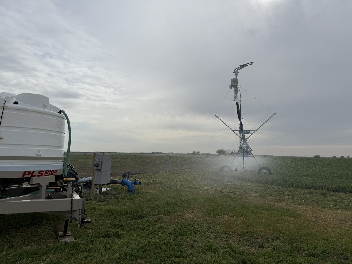 Top dressing some certified alfalfa seed production land #Agtwitter