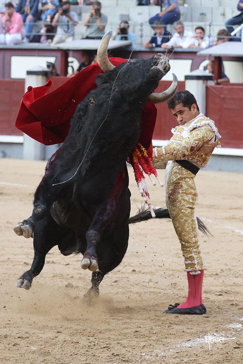 Hay un sabor amargo.
La espera y exigencia siempre las asumo, pero el miércoles no fue la tarde que esperaba.
La temporada sigue, y voy a redoblar esfuerzos para superar el trago amargo, seguir adelante y crecer.
Gracias por todos sus mensajes. ¡Significan mucho para mí!