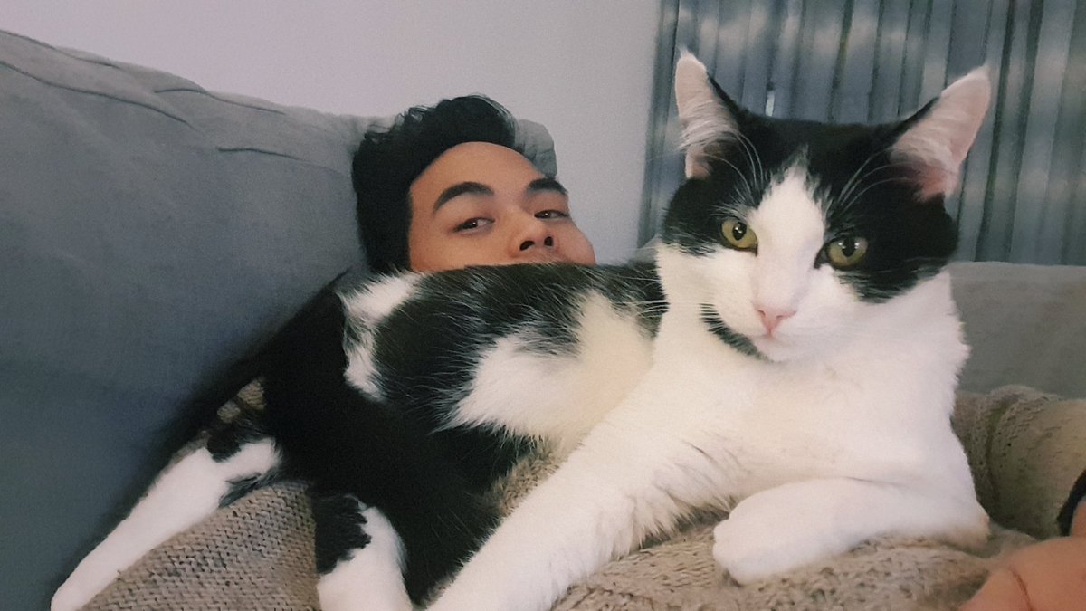 That time I became a sofa and decided to be the best sofa in the world. 

I wrote my boy Pancake a poem. 
parisisacatdad.substack.com