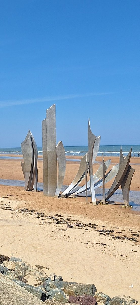 O DDay foi há 81 anos 💚
Foram milhares as vidas que se perderam para libertar a Europa... que saibamos continuar a honrar os valores que nos trouxeram até aqui 🍀🌍🩵💚