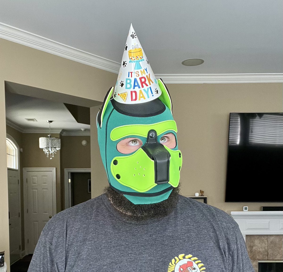 Does pup get a treat for keeping his bark day hat on his head like a good boy? *slow wags to not lose focus*

Pup loves bulges and musk if you’re looking for a treat. 🤤 aroooo