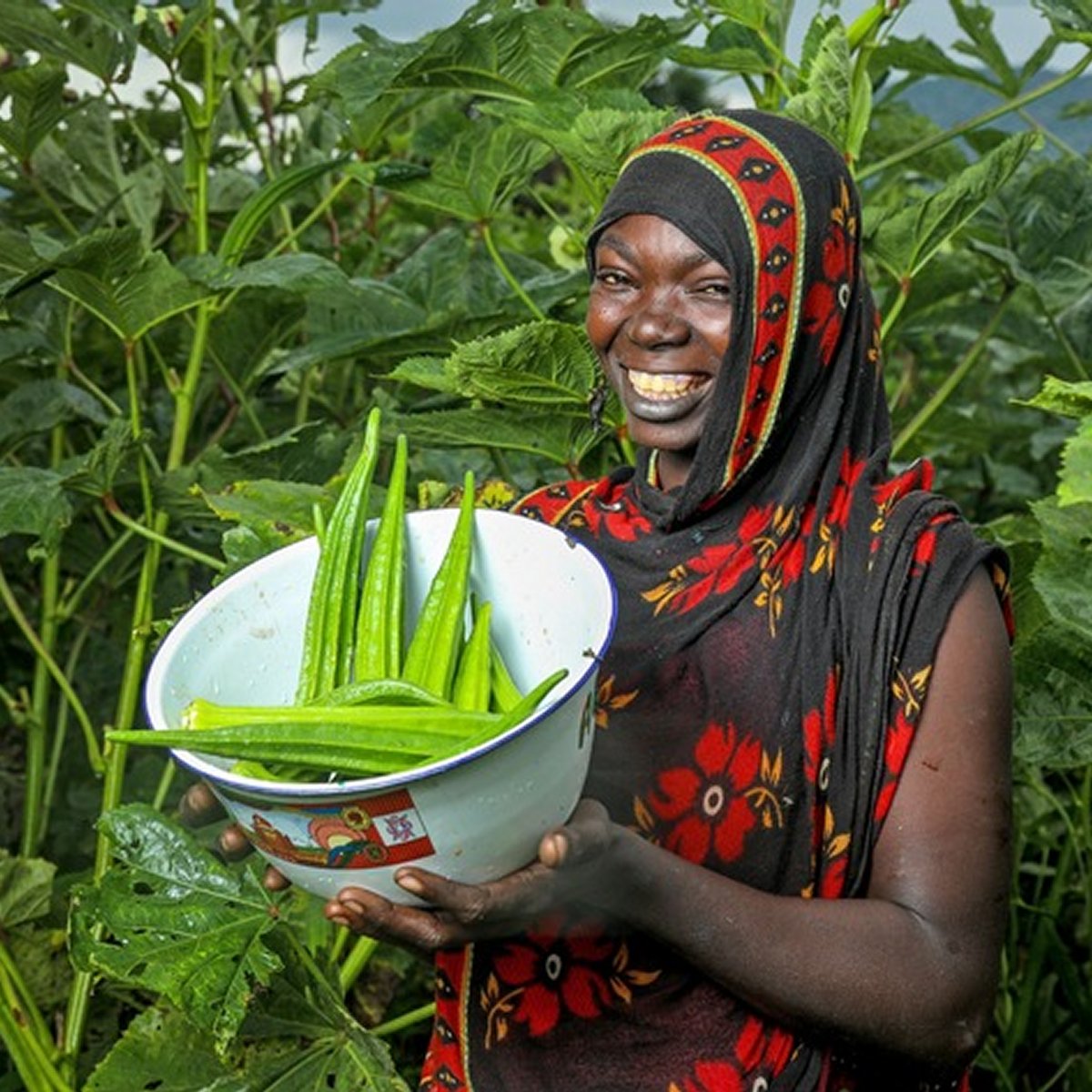 Medien_News's tweet image. Humanitärer Bedarf nimmt zu, staatliche Unterstützung nimmt ab
aktuellenews.ch/artikel.cfm?ke…

#SWISSAID #Hungerbekämpfung #Armutsbekämpfung #Jahresbericht2024 #internationaleZusammenarbeit #Klimakrise #Aktuellenews #Helpmedia