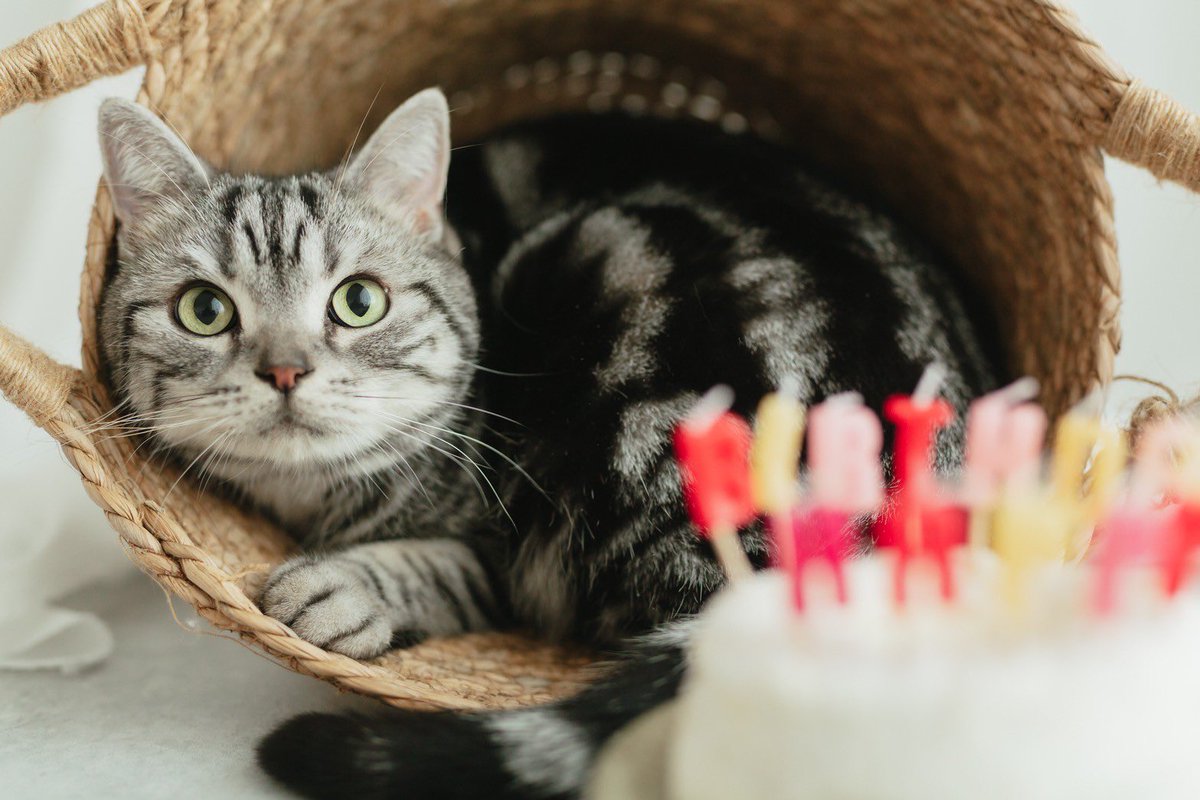 gnikuuy's tweet photo. お誕生日おめでとう。
これからもずっと大好き。 https://t.co/KJbdCnbFYl