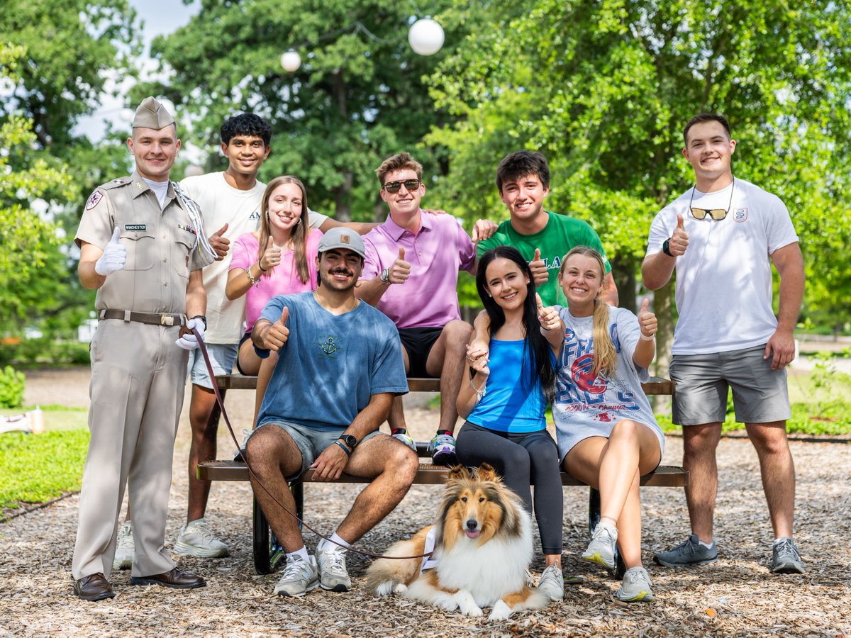 reveille's tweet image. It’s National Higher Education Day, Ags! 📚
I’ve seen a lot of maroon and white over the years — and y’all are some of the hardest-working students I’ve ever barked at. Keep hitting the books… and maybe toss me a treat while you’re at it. 🐾
#TAMU #NationalHigherEducationDay