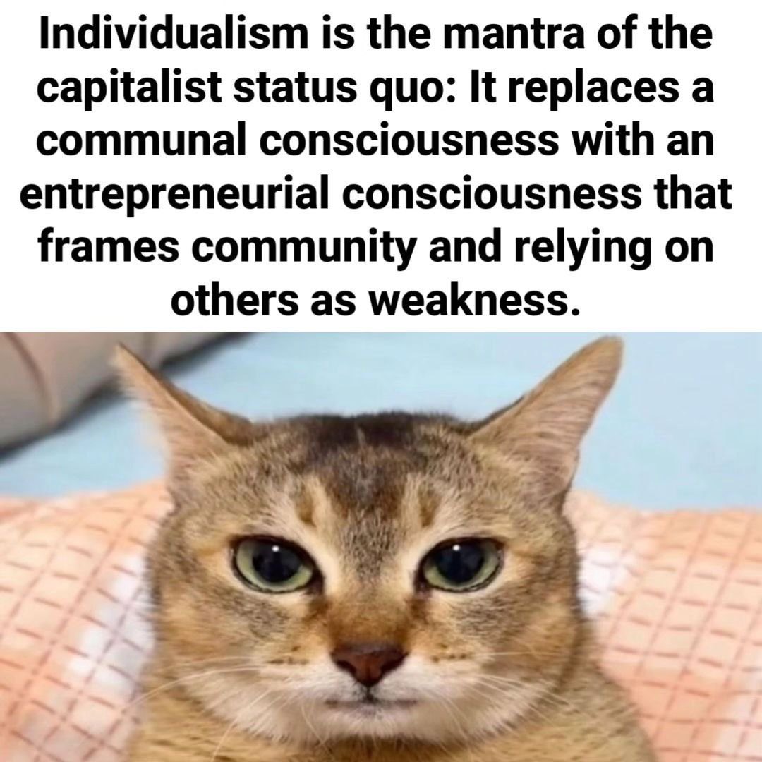 Pinball🍎❄️🔻 (@pinballwiz4rd) on Twitter photo 