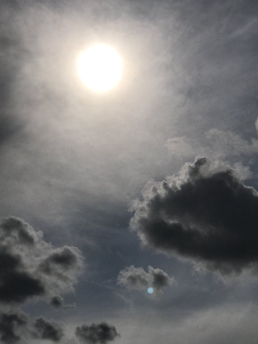 robster (@robster12065612) on Twitter photo no blue here in essex - chem trail sun blocking - The average sheep has zero clue as usual no blue here in essex - chem trail sun blocking - The average sheep has zero clue as usual
