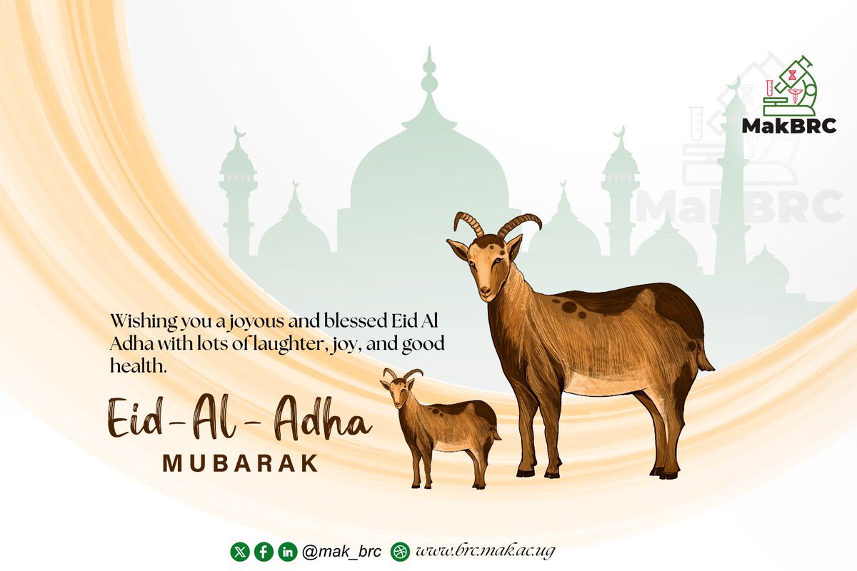 Mak_BRC's tweet image. #EidAlAdha2025 #EidMubarak