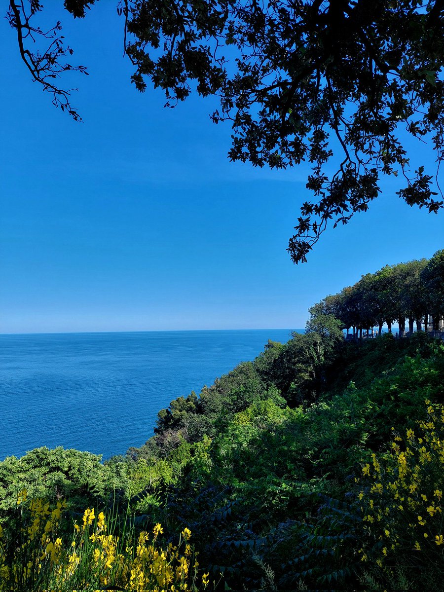 Barbaga3Gaetano's tweet photo. Along my way...
Good evening
and happy Friday everyone... ๐๐๐
#AdoorableFriday
#AdraticSea ๐ฎ๐น
#naturelovers #LoveandPeace
#NoWar https://t.co/s96DD548Pr