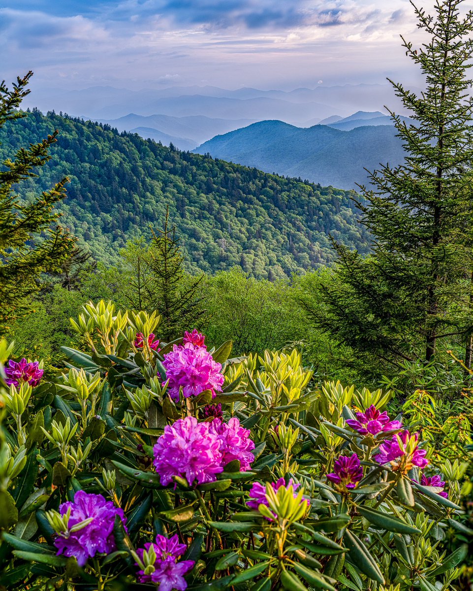 What it’s like out there right now