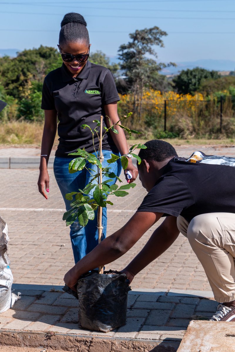 UniMpumalanga's tweet photo. 06 June 2025
UMP, in partnership with SAFCOL, held a Tree Planting Ceremony at Mbombela Campus. Inspired by the G20 meetings, it supports the One Million Trees Campaign to boost greening, biodiversity, and climate action.
#UMPTreePlanting #SAFCOL #G20 #Sustainability https://t.co/uue94fKyxt