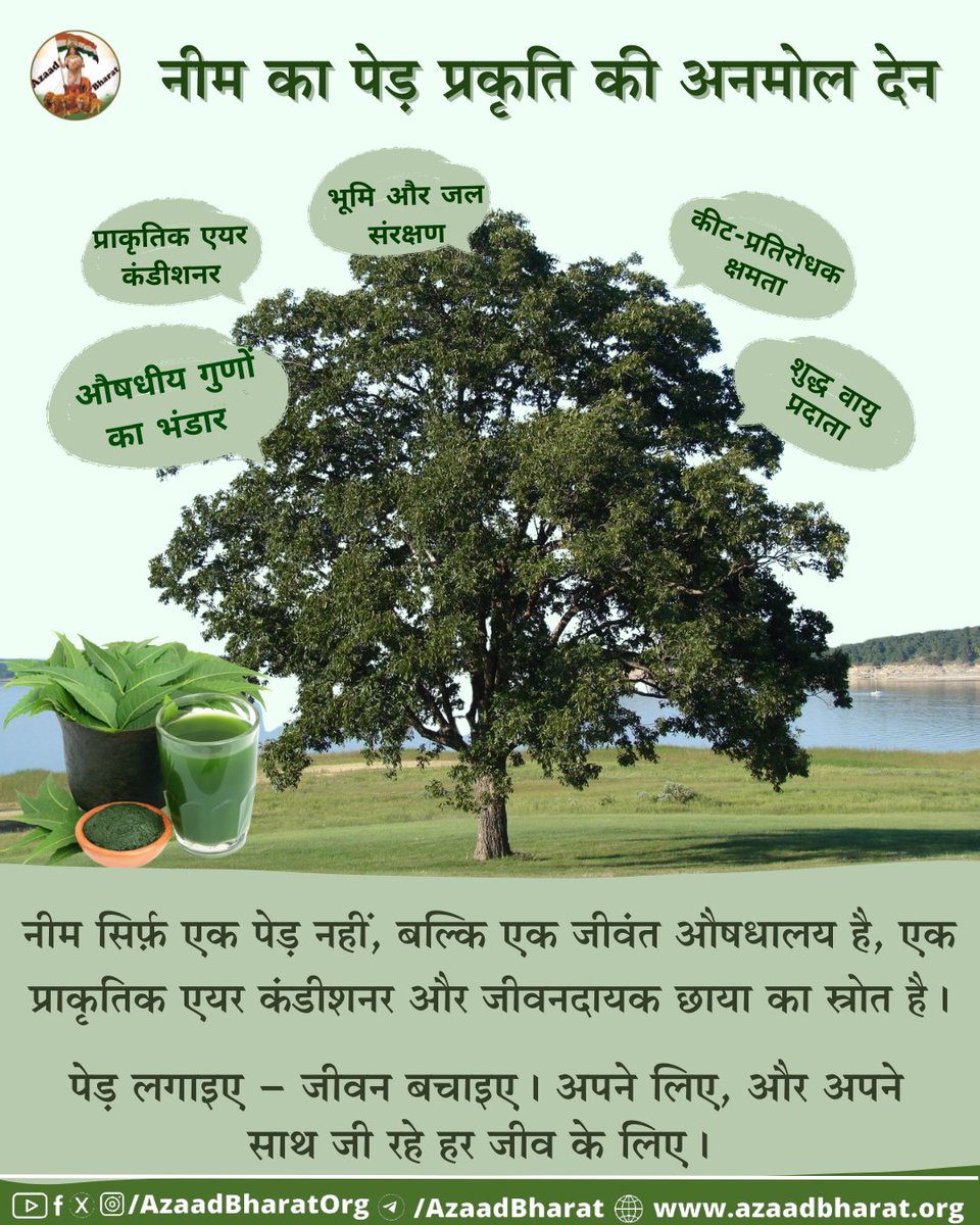नीम का पेड़ धरती का रक्षक, मानवता का चिकित्सक और पर्यावरण का प्रहरी है। आज जब तापमान बढ़ रहा है, प्रदूषण घातक हो रहा है और बीमारियाँ बढ़ रही हैं, ऐसे में नीम जैसे पेड़ जीवनदायिनी संजीवनी बनकर सामने आते हैं।
पूरी पोस्ट पढ़े 👉🏻azaadbharat.org/?p=12238