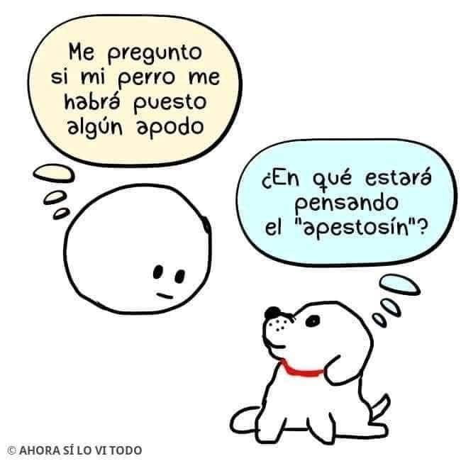 MaRViN *゜★゜*THE MARVINOUS★゜👽 (@marvinel3) on Twitter photo <a href="/nydiacervera/">Nydia Cervera</a> <a href="/gllgina1/">Gina..🌷</a> <a href="/EYACAR65/">EYA</a> <a href="/nora_nap/">⭐NORA ARCINIEGA⭐</a> <a href="/mtz_tt/">B€TT¥ ツ</a> <a href="/duky1107/">Claudia</a> <a href="/PatyZavalat/">Paty Zavala</a> <a href="/LETICIA777/">LETICIA TORRES</a> <a href="/akyoshi09/">Fabiola</a> <a href="/CasLaaU/">Soy Lau. 💜🍉</a> <a href="/DaliaMRocha/">Yaya Rocha</a> <a href="/Froggieland/">Anny Reyes</a> <a href="/Janinah18/">Janina Hidalgo Ybarra</a> <a href="/raquelgarzac/">raquel garza</a> <a href="/JohannaLizalde/">Johanna Lizalde</a> <a href="/HuesitosDF/">Huesitos DF</a> <a href="/IsabelYsita/">#FreePalestineNow🇵🇸🕊️</a> <a href="/gretakolarik/">Greta Kolarik</a> <a href="/soymolid/">@soymoli</a> <a href="/AvilMac/">Marvel</a> <a href="/Negra_start/">Ⓝⓔⓖⓡⓐ</a> <a href="/zaradrj/">🐕Sara Del Razo J.</a> <a href="/alapez/">alejandra</a> <a href="/l_orii/">Lorii Hernandez</a> <a href="/Uriel66689314/">Uriel</a> <a href="/arireyes192/">Alex8</a> <a href="/Marcemgffvg/">ACARA</a> <a href="/iztalccihuatl/">Mary Sandoval 6476❤**</a> <a href="/Marilu86053/">Marilú 💕🐘🐘🐘💕 🇲🇽</a> <a href="/JulietaMRabago/">Julieta MacíasRábago🐦🌎🐱🐕</a> <a href="/Lacasadelsalchi/">La casa del perro Salchicha CDMX</a> <a href="/Lizzysa/">Lizzy Santoyo</a> <a href="/mamiblue2015/">mamiblue🐶😸🦊🇲🇽</a> <a href="/Nyu_umi/">JJ</a> Buenos días, feliz viernes 🐶🐱🐾✨ <a href="/nydiacervera/">Nydia Cervera</a> <a href="/gllgina1/">Gina..🌷</a> <a href="/EYACAR65/">EYA</a> <a href="/nora_nap/">⭐NORA ARCINIEGA⭐</a> <a href="/mtz_tt/">B€TT¥ ツ</a> <a href="/duky1107/">Claudia</a> <a href="/PatyZavalat/">Paty Zavala</a> <a href="/LETICIA777/">LETICIA TORRES</a> <a href="/akyoshi09/">Fabiola</a> <a href="/CasLaaU/">Soy Lau. 💜🍉</a> <a href="/DaliaMRocha/">Yaya Rocha</a> <a href="/Froggieland/">Anny Reyes</a> <a href="/Janinah18/">Janina Hidalgo Ybarra</a> <a href="/raquelgarzac/">raquel garza</a> <a href="/JohannaLizalde/">Johanna Lizalde</a> <a href="/HuesitosDF/">Huesitos DF</a> <a href="/IsabelYsita/">#FreePalestineNow🇵🇸🕊️</a> <a href="/gretakolarik/">Greta Kolarik</a> <a href="/soymolid/">@soymoli</a> <a href="/AvilMac/">Marvel</a> <a href="/Negra_start/">Ⓝⓔⓖⓡⓐ</a> <a href="/zaradrj/">🐕Sara Del Razo J.</a> <a href="/alapez/">alejandra</a> <a href="/l_orii/">Lorii Hernandez</a> <a href="/Uriel66689314/">Uriel</a> <a href="/arireyes192/">Alex8</a> <a href="/Marcemgffvg/">ACARA</a> <a href="/iztalccihuatl/">Mary Sandoval 6476❤**</a> <a href="/Marilu86053/">Marilú 💕🐘🐘🐘💕 🇲🇽</a> <a href="/JulietaMRabago/">Julieta MacíasRábago🐦🌎🐱🐕</a> <a href="/Lacasadelsalchi/">La casa del perro Salchicha CDMX</a> <a href="/Lizzysa/">Lizzy Santoyo</a> <a href="/mamiblue2015/">mamiblue🐶😸🦊🇲🇽</a> <a href="/Nyu_umi/">JJ</a> Buenos días, feliz viernes 🐶🐱🐾✨