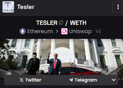 Tesler tweet media