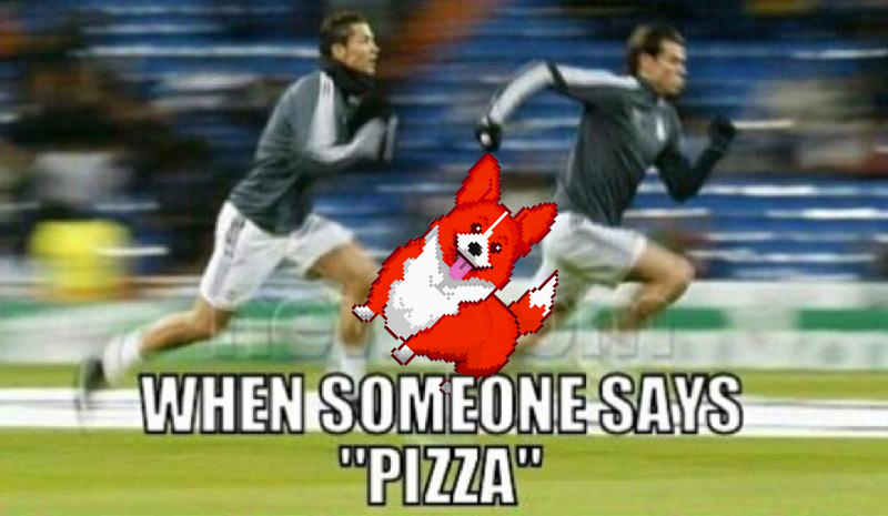 crypto_corgis's tweet photo. buongiorno 

$corgi on #base #basezn #memecoins $sol $meme $doge $keycat $eth $base $doge $wif #crypto #altszn $alts https://t.co/zEpwsYwcrx