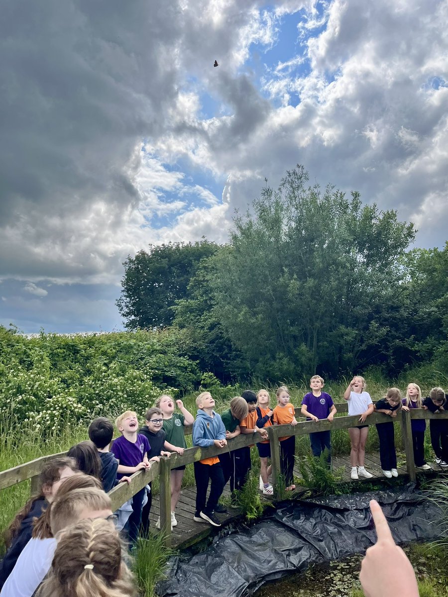 Miss_T_Sayer's tweet photo. Look at these faces! 🥰 What a magical afternoon letting our class butterflies out into the wild! Can you spot Roxy flying away? @Astley_Primary2 @Astley_Primary #learningisACE https://t.co/C3TGto75VN