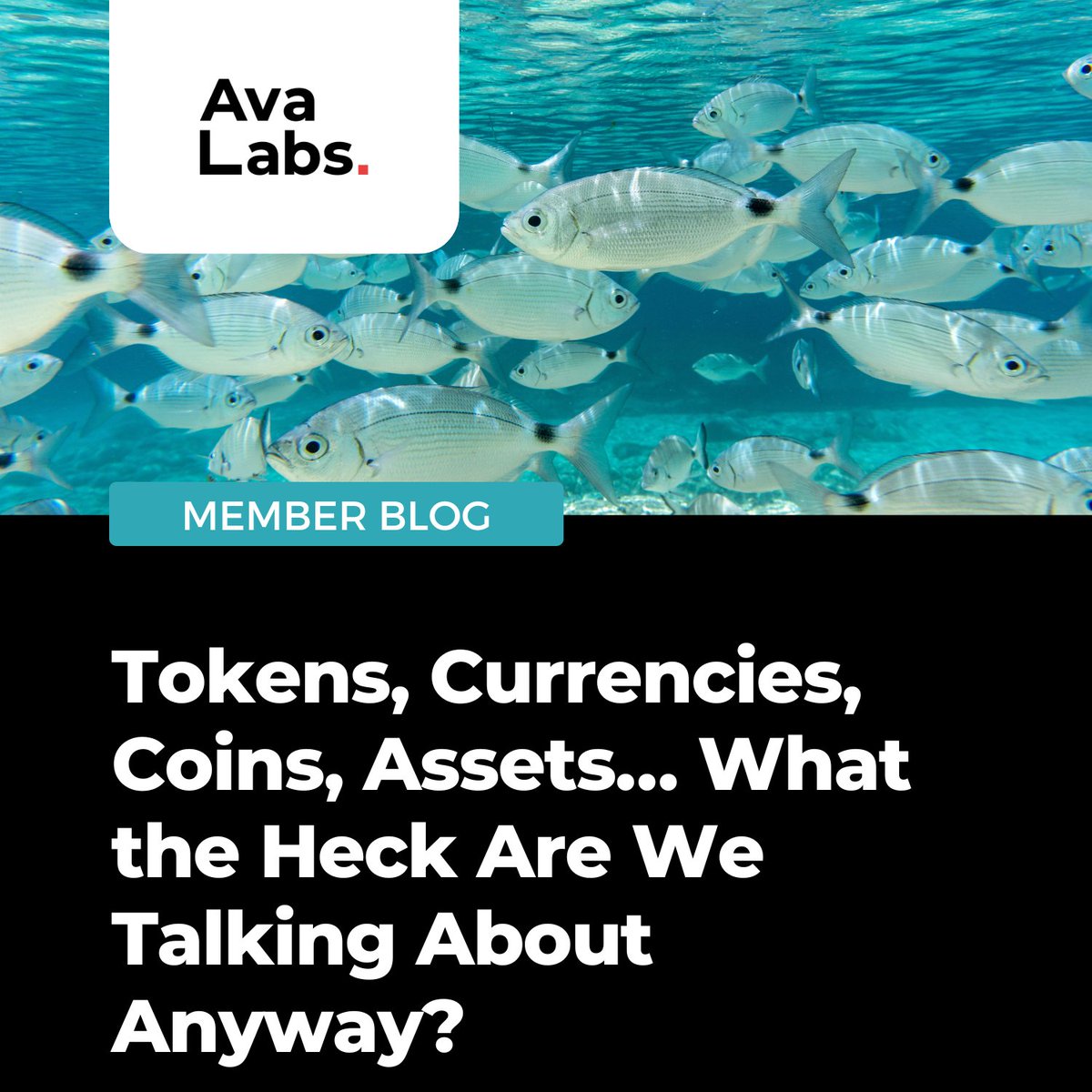 Digital Pound Foundation (@digitalpoundfdn) on Twitter photo Curious about the difference between coins, tokens, and digital assets? ๐ช
Check out this excellent primer from <a href="/OwlExplains/">Owl Explains by Ava Labs ๐บ</a> by our member <a href="/AvaLabs/">Ava Labs ๐บ</a> that clarifies why the term โtokenโ is so important - spanning everything from crypto to CBDCs.
Whether you're working with Curious about the difference between coins, tokens, and digital assets? ๐ช
Check out this excellent primer from <a href="/OwlExplains/">Owl Explains by Ava Labs ๐บ</a> by our member <a href="/AvaLabs/">Ava Labs ๐บ</a> that clarifies why the term โtokenโ is so important - spanning everything from crypto to CBDCs.
Whether you're working with