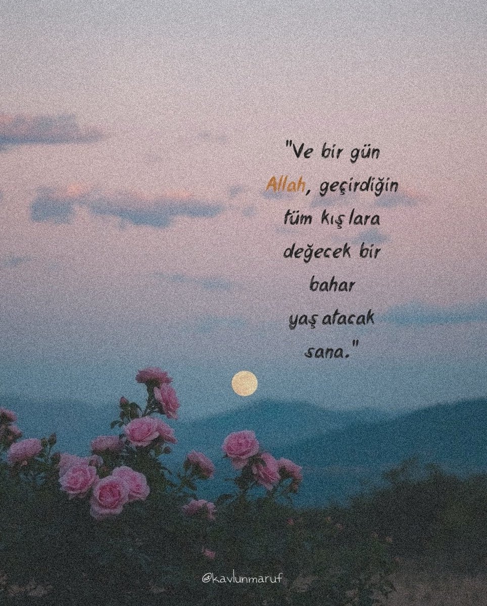 Monna Rosa (@ayaserenat) on Twitter photo 
