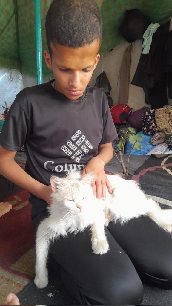 Ahmad In Gaza tweet media