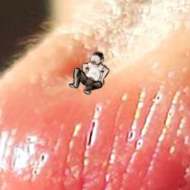 <a href="/hhuhu030/">呼呼觉</a> Tastes like sweet terror and prayers :3