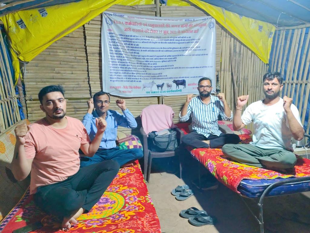 DVA633SKS's tweet photo. पशुपालन विभाग में DG पद पर #IAS अधिकारी की नियुक्ति एवं VLDA कर्मचारियों की माननीय मुख्यमंत्री महोदय @cmohry द्वारा स्वीकृत मांगों के #Notifications जारी करवाने हेतु DVA Haryana द्वारा धरना स्थल सेक्टर पांच पंचकूला में 1088 दिनों से आंदोलन जारी। @NayabSainiBJP @cmohry  @csharyana https://t.co/eMjolqOz0s