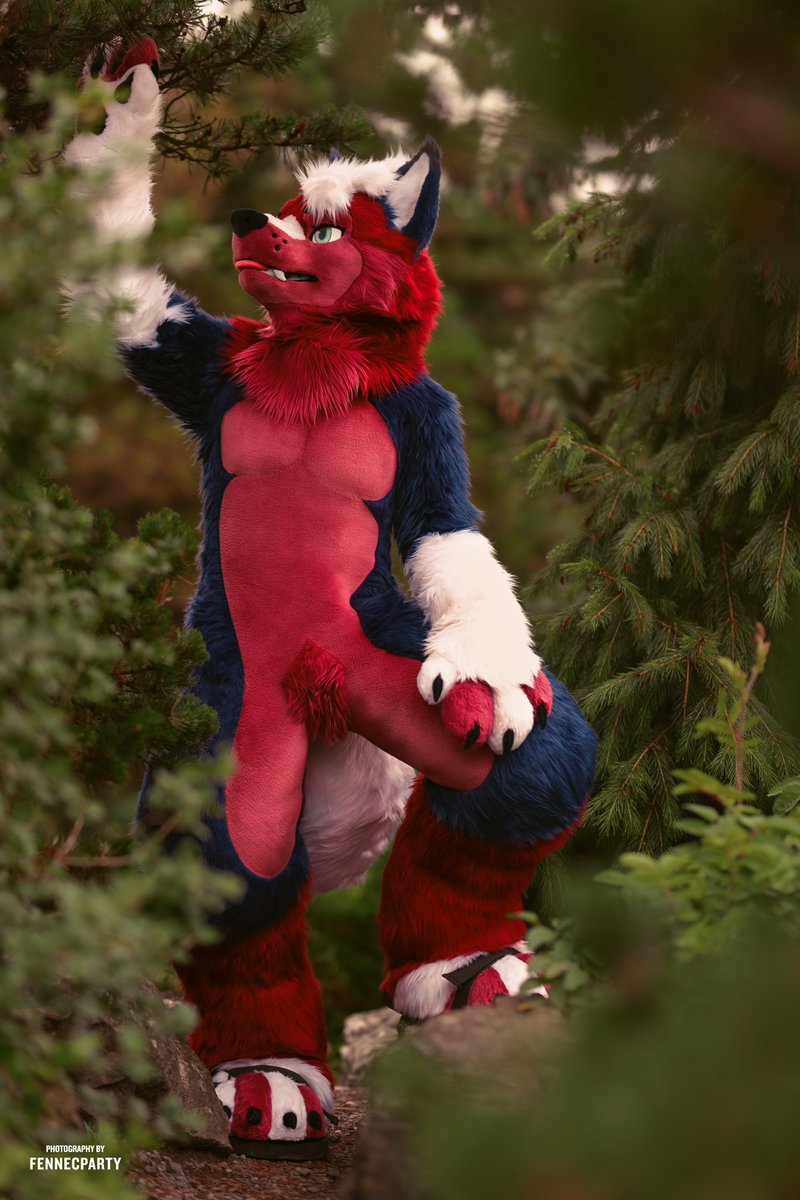 Wacky Zacky (@zackhusky) on Twitter photo Was looking for some fruit but couldn't find you~๐
๐ธ<a href="/FENNECPARTY/">MYLO ๐ฆ๐ธ</a>
#FursuitFriday Was looking for some fruit but couldn't find you~๐
๐ธ<a href="/FENNECPARTY/">MYLO ๐ฆ๐ธ</a>
#FursuitFriday