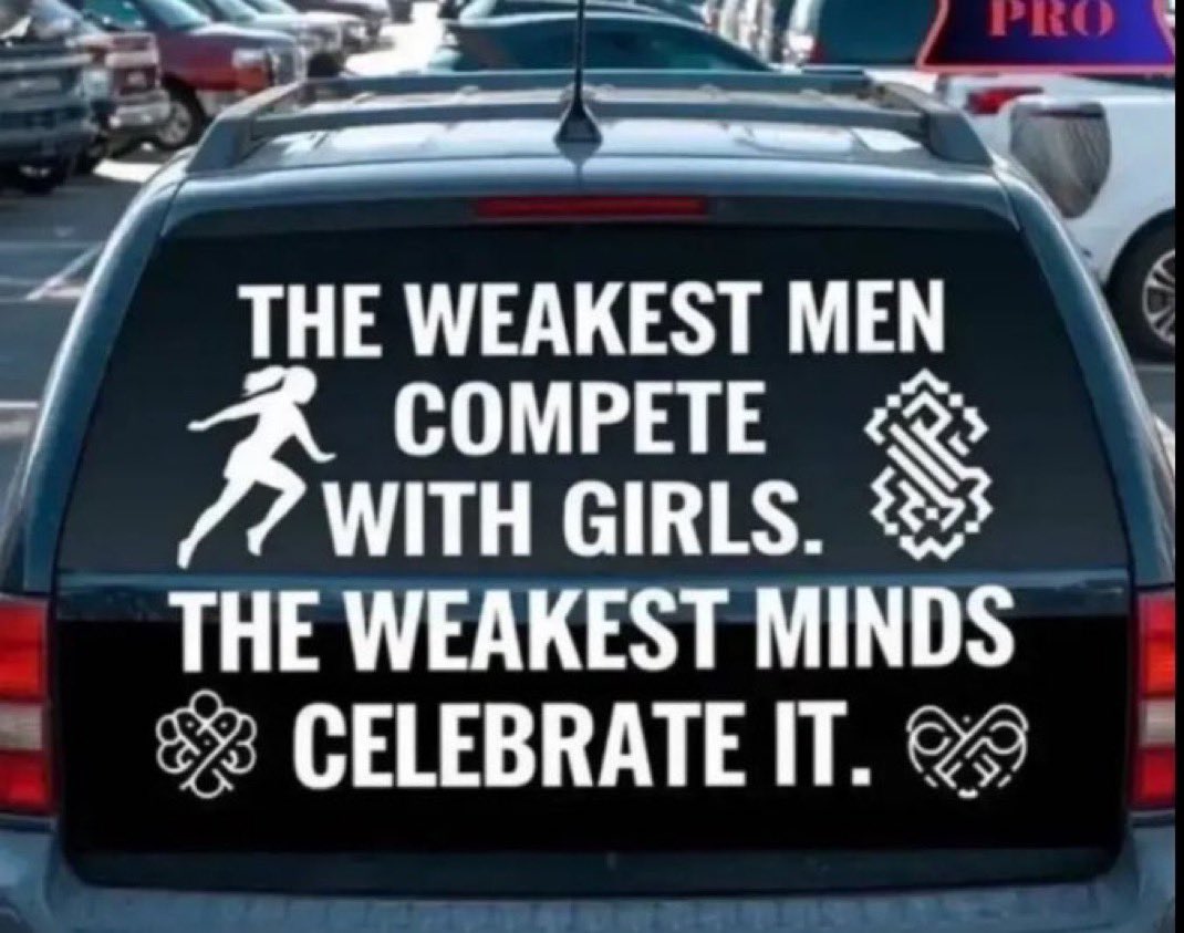 The Conservative Alternative (@oldeworldorder) on Twitter photo <a href="/Riley_Gaines_/">Riley Gaines</a> The fact that more people don't see this for the blatant cheating scheme it is worries me.
When the average person can no longer see the obvious, that means something's gone wrong with society. <a href="/Riley_Gaines_/">Riley Gaines</a> The fact that more people don't see this for the blatant cheating scheme it is worries me.
When the average person can no longer see the obvious, that means something's gone wrong with society.