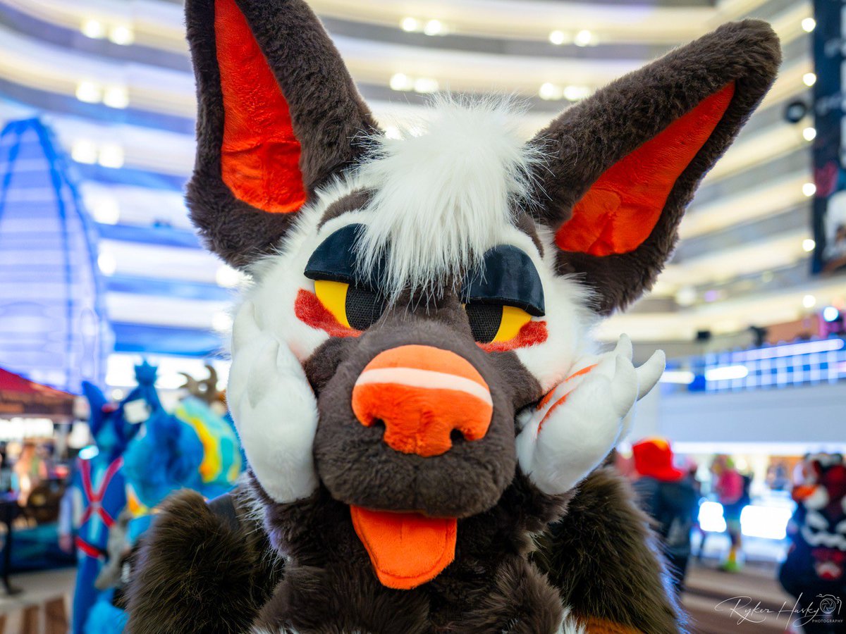 DorkStripes's tweet image. Okay you may boop the snoot of this clearly ferocious beastโฆbut at your own risk #FursuitsFriday
๐ธ: @RykerHusky