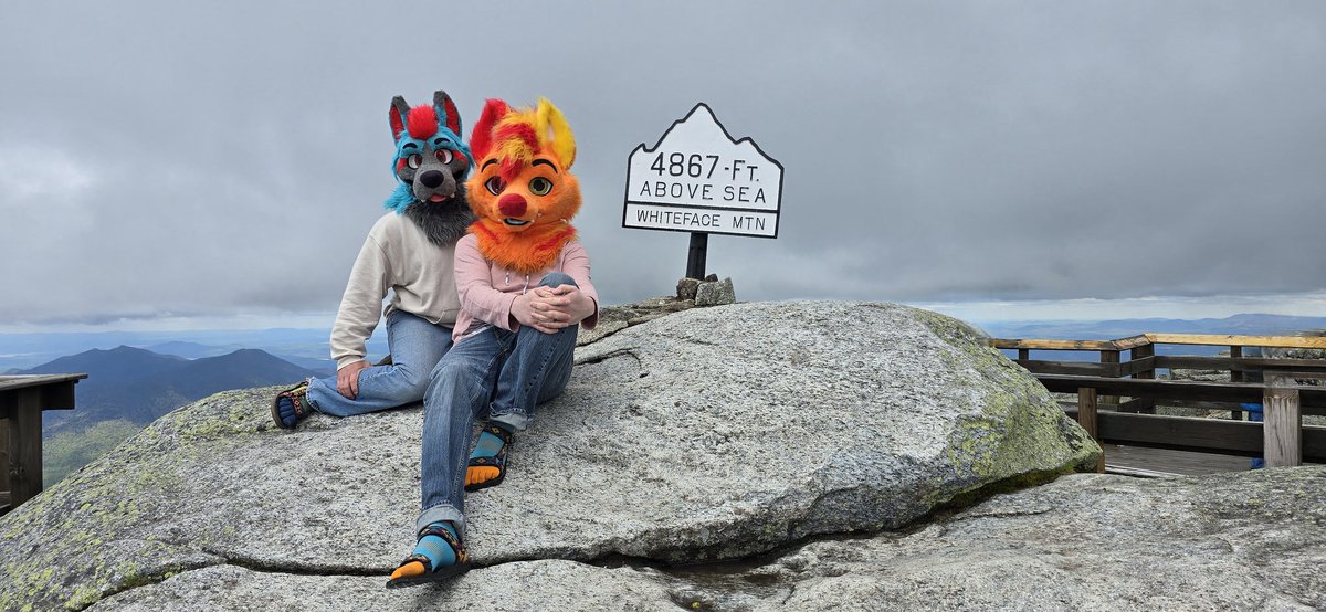 Ash 🦊 🧡❤️💙 tweet media