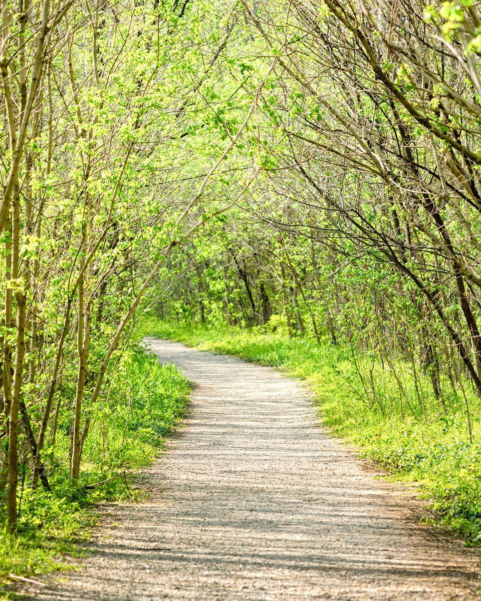 It's time to hit the trails! 🥾

We are waiving all motor vehicle permit requirements tomorrow, June 7 in honor of National Trails Day. Discover a trail near you: greatparks.org/recreation/tra…