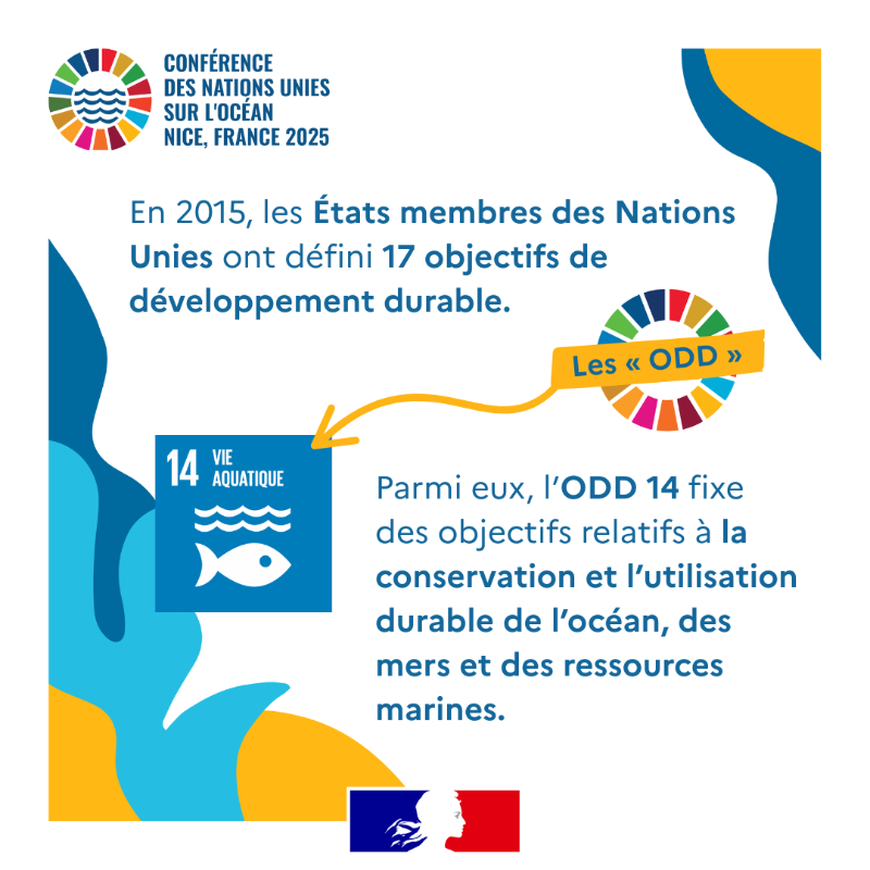francediplo's tweet photo. 🌊 Mais au fait, l’#UNOC3, c’est quoi ?

Océan, Nations unies, #ODD14, coopération, science, société civile, secteur privé, enjeux, objectifs : on vous explique ! ⤵️