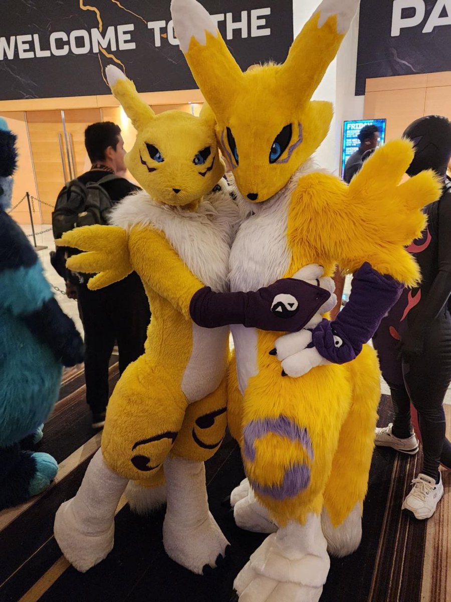 Veil, the Renamon tweet media