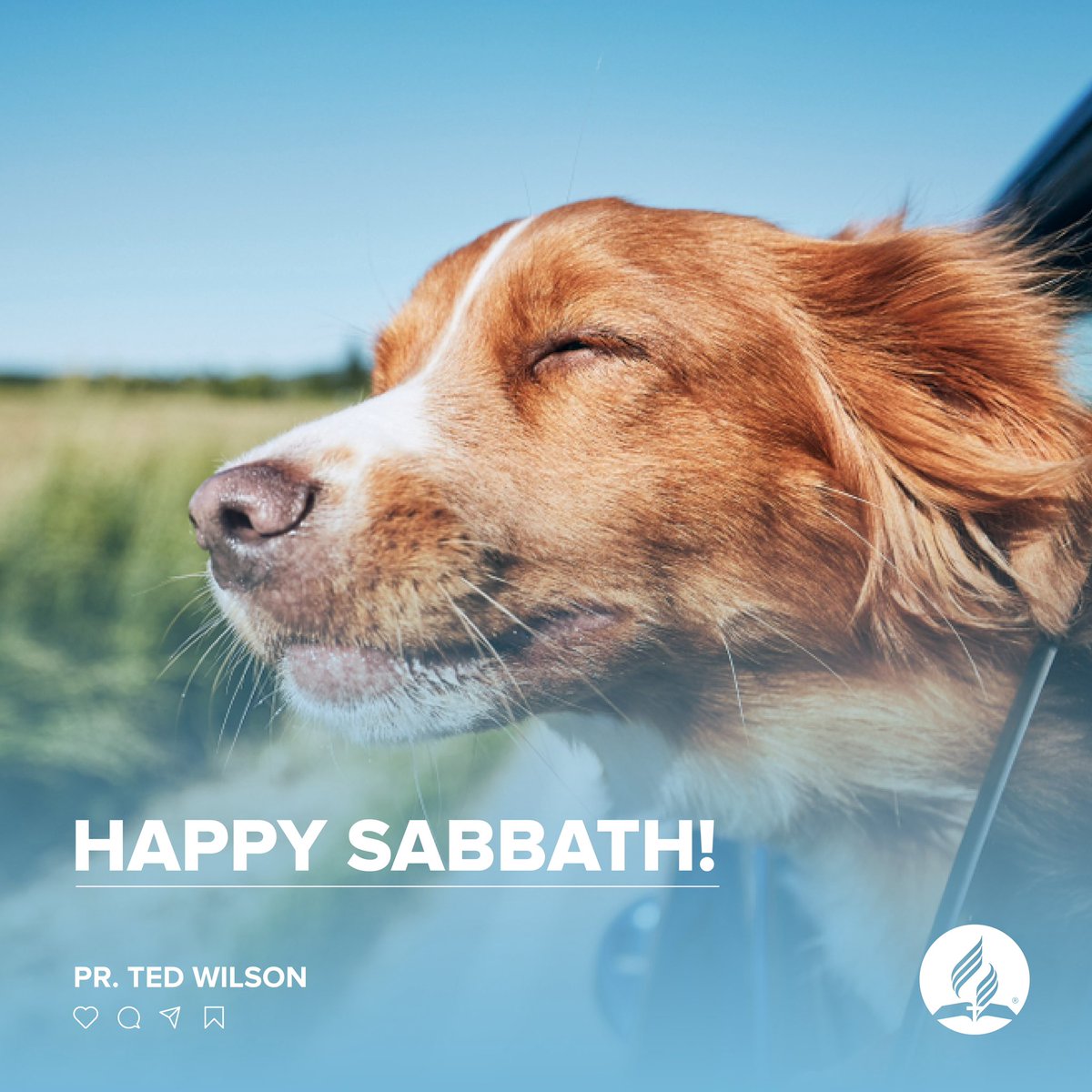 Happy Sabbath, friends! "This is the day the Lord has made; We will rejoice and be glad in it" (Ps 118:24, NKJV). #HappySabbath