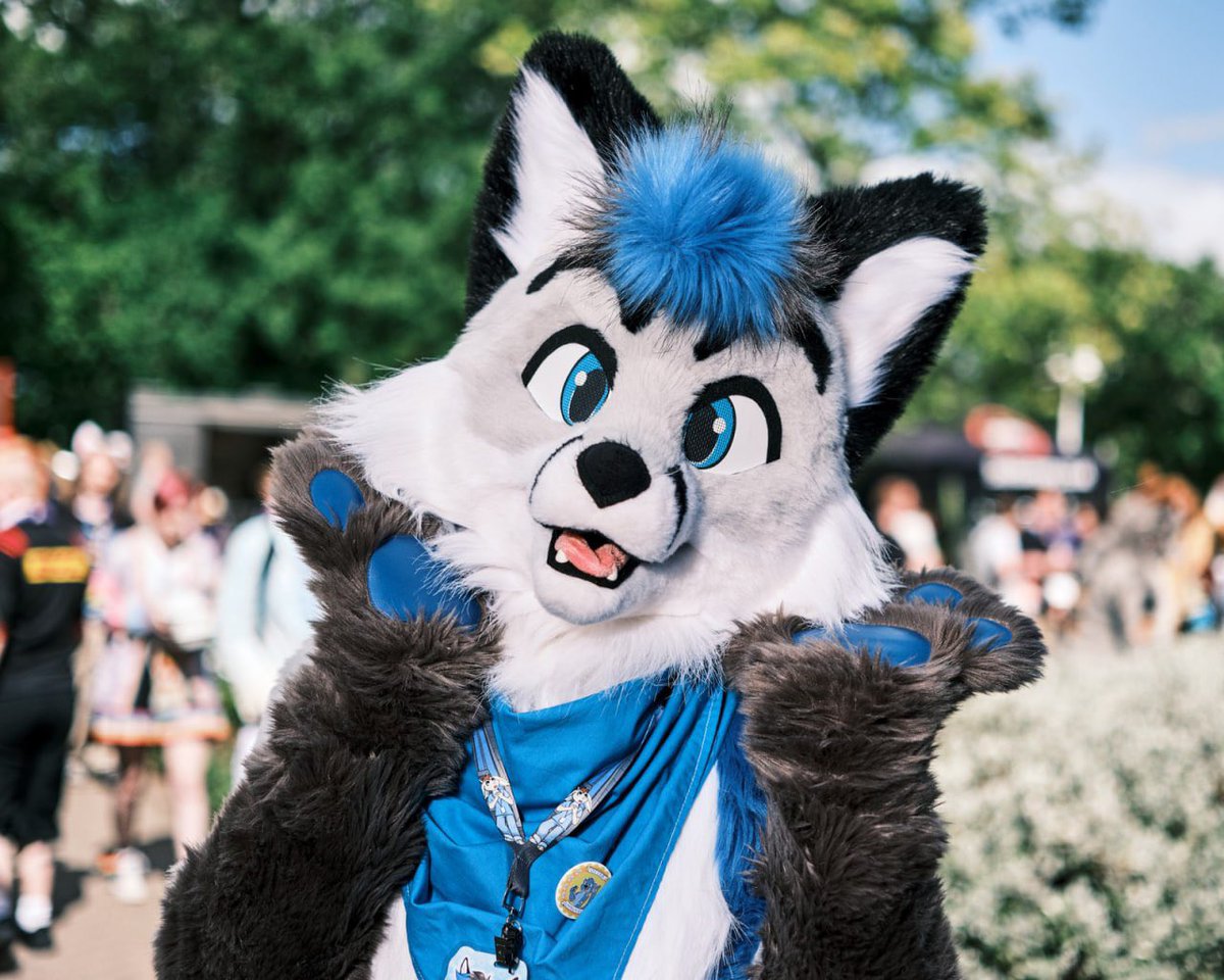 Don't ask me, I'm just a fox! hahaha, hahaha...#FursuitFriday 

📸 <a href="/BrandyTheWuff/">🐾 Brandy 🐾 🔜 NFC</a>