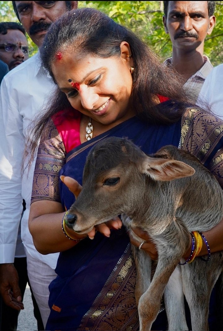 Kondal Rao.Cheeti @BRS @Siddipet (@kondalraocheeti) on Twitter photo 🔥బత్తాయి నాయళ్ళారా..!! మేము పుట్టిందే వీటి మధ్య రా..!! వ్యవసాయం, పశుపోషణ మా తాతలు, ముత్తాతల నుండి మా వృత్తి.. ఆవులు.. బర్లు.. దుడ్డెలు మా ఫ్యామిలీ మెంబర్స్..
మీరు కిరాయి వాటితో రీల్స్ చేసి ప్రచారం చేసుకుంటరు. ఇవ్వే మా లైఫ్..
<a href="/RaoKavitha/">Kavitha Kalvakuntla</a>
<a href="/Kavithakka_adda/">Kavithakka_Adda</a> 🔥బత్తాయి నాయళ్ళారా..!! మేము పుట్టిందే వీటి మధ్య రా..!! వ్యవసాయం, పశుపోషణ మా తాతలు, ముత్తాతల నుండి మా వృత్తి.. ఆవులు.. బర్లు.. దుడ్డెలు మా ఫ్యామిలీ మెంబర్స్..
మీరు కిరాయి వాటితో రీల్స్ చేసి ప్రచారం చేసుకుంటరు. ఇవ్వే మా లైఫ్..
<a href="/RaoKavitha/">Kavitha Kalvakuntla</a>
<a href="/Kavithakka_adda/">Kavithakka_Adda</a>