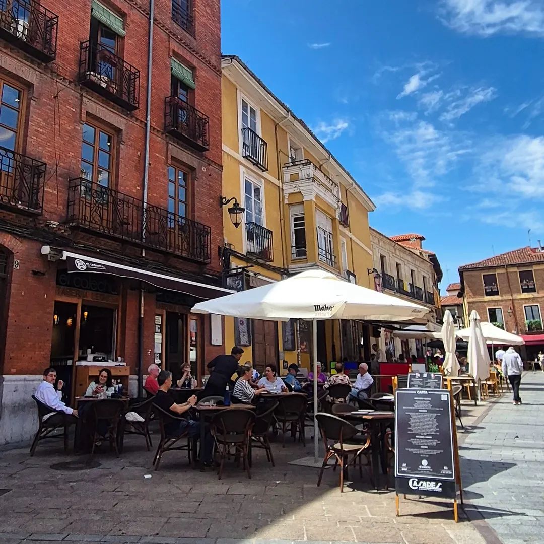 ☀️ El Calecho en verano, abrimos todos los dias. Disfruta de nuestra terraza y nuestra propuesta gastronómica 📋☎️‼
.
.
#leonesp #barriohumedo #cocinatradicional
#elcalechorestauranteleon #elcalecho #plazasanmartinleon