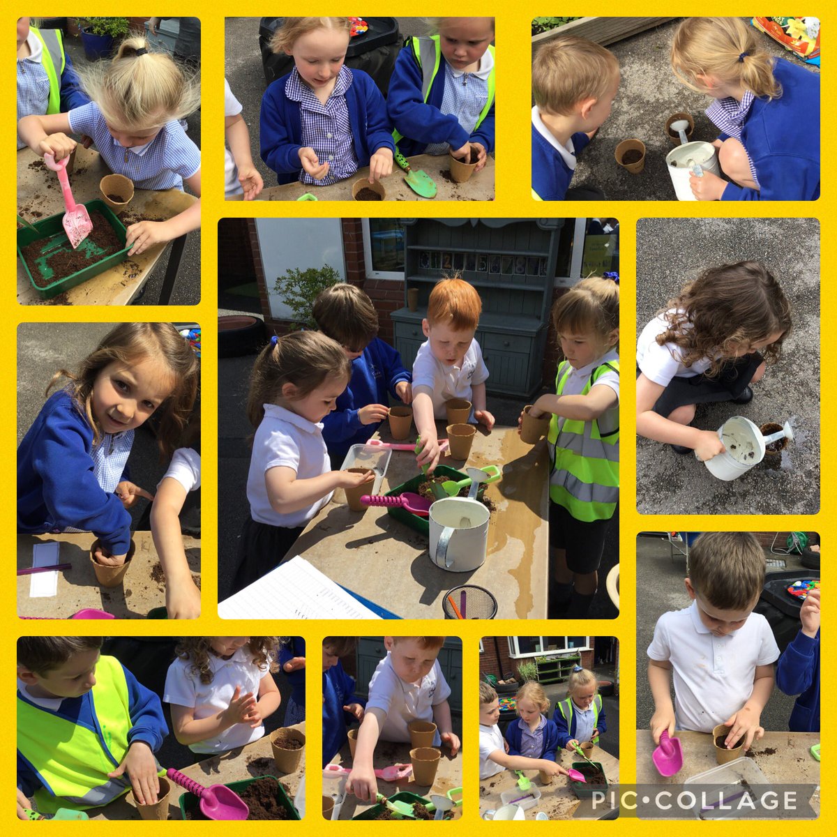 Today, we learned about what plants needs to grow. We planted sunflower seeds in soil, gave them water and placed them in the sun to help them grow. We’re looking forward to taking them home towards the end of the year. <a href="/SchoolWhitegate/">Whitegate C/E School</a>