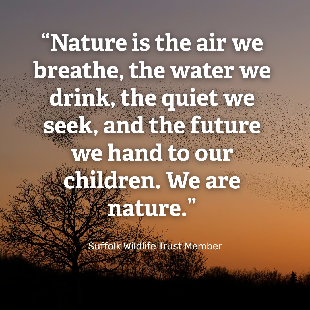 ⚠ LAST CHANCE to email to your MP 👇
action.wildlifetrusts.org/page/171483/ac…

So far, nearly 1,000 people in #Suffolk have emailed their MP about the #UKGovernment's Planning &amp; Infrastructure Bill.

THANK YOU for speaking up for nature 💚