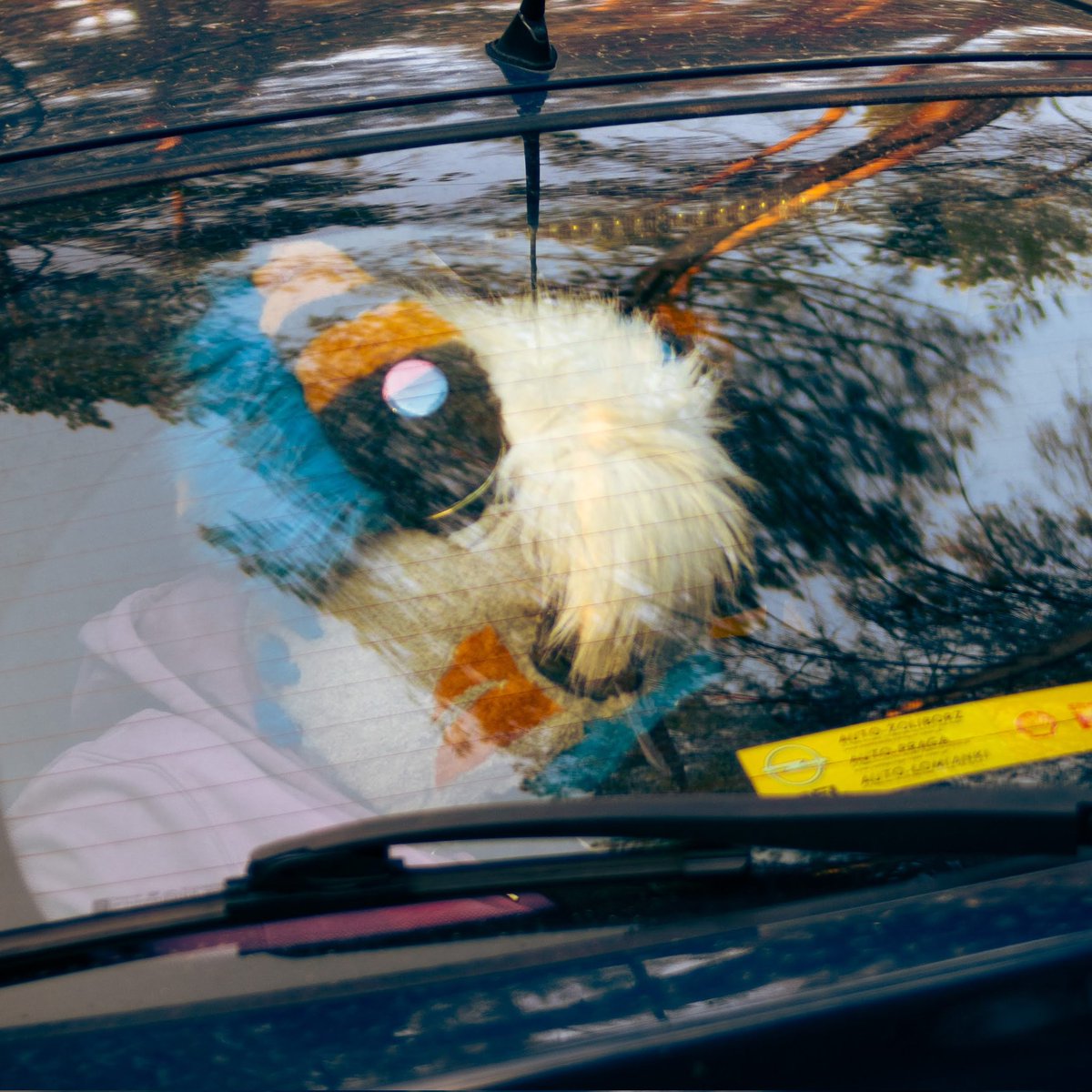 🍞 Avra Spark 🍞 tweet media