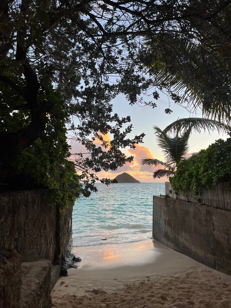 This way to paradise!✨️