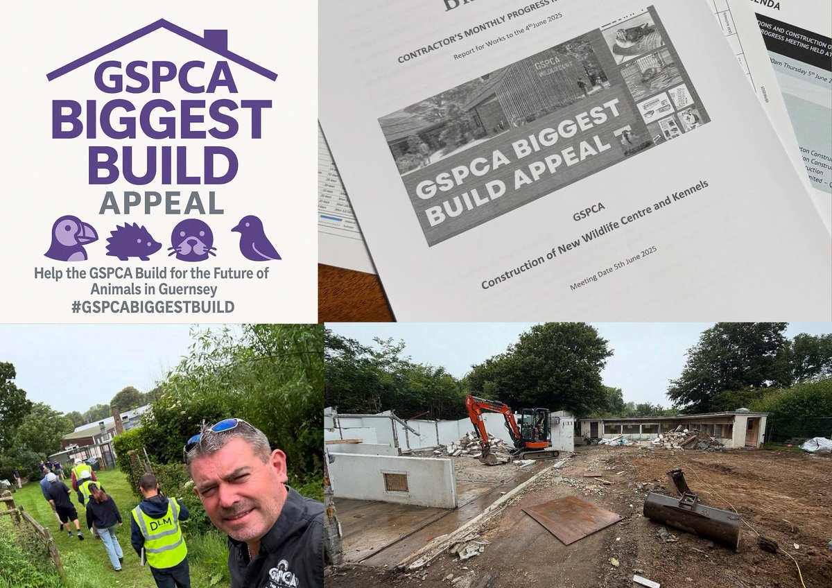 First on site meeting for the #GSPCABIGGESTBUILD can you help us build for the future of Guernsey animals gspca.org.gg/blog/first-sit…