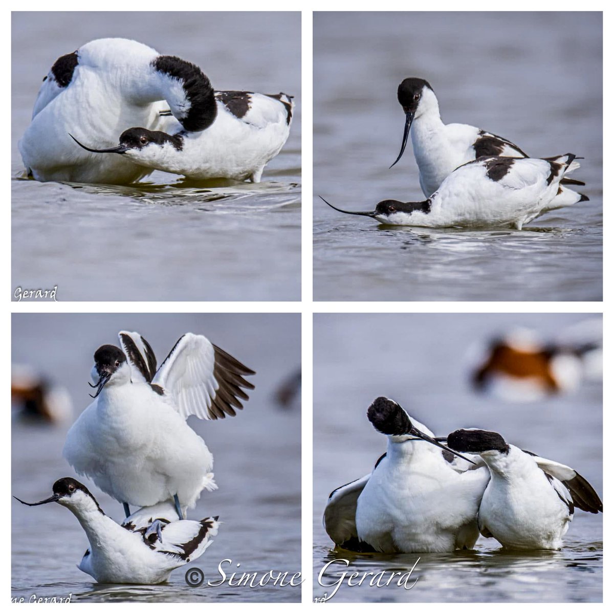 Goed weekend. #Callantsoog