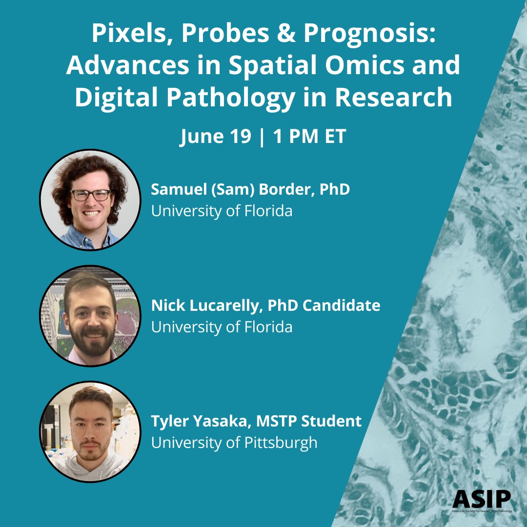 American Society for Investigative Pathology (@asipath) on Twitter photo Interested in #SpatialOmics and #DigitalPathology? Register for this special virtual event on June 19 bit.ly/3ShRnS5 #AI #Pathobiology <a href="/UFMedicine/">UF Medicine</a> <a href="/PittDeptofMed/">PittDeptofMed</a> Interested in #SpatialOmics and #DigitalPathology? Register for this special virtual event on June 19 bit.ly/3ShRnS5 #AI #Pathobiology <a href="/UFMedicine/">UF Medicine</a> <a href="/PittDeptofMed/">PittDeptofMed</a>