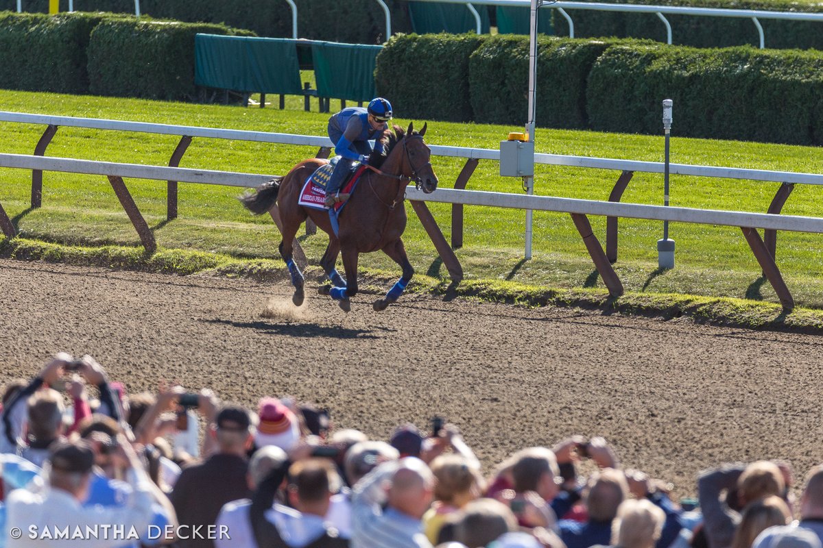 Everyone's been posting about it..10 yrs ago, American Pharoah was finally the one! After his TC win, he came to the Spa to run in the Travers, where he was defeated by Keen Ice. The day before, he galloped around the track for 30k fans. Anyone remember the hashtag #pharoahtoga?