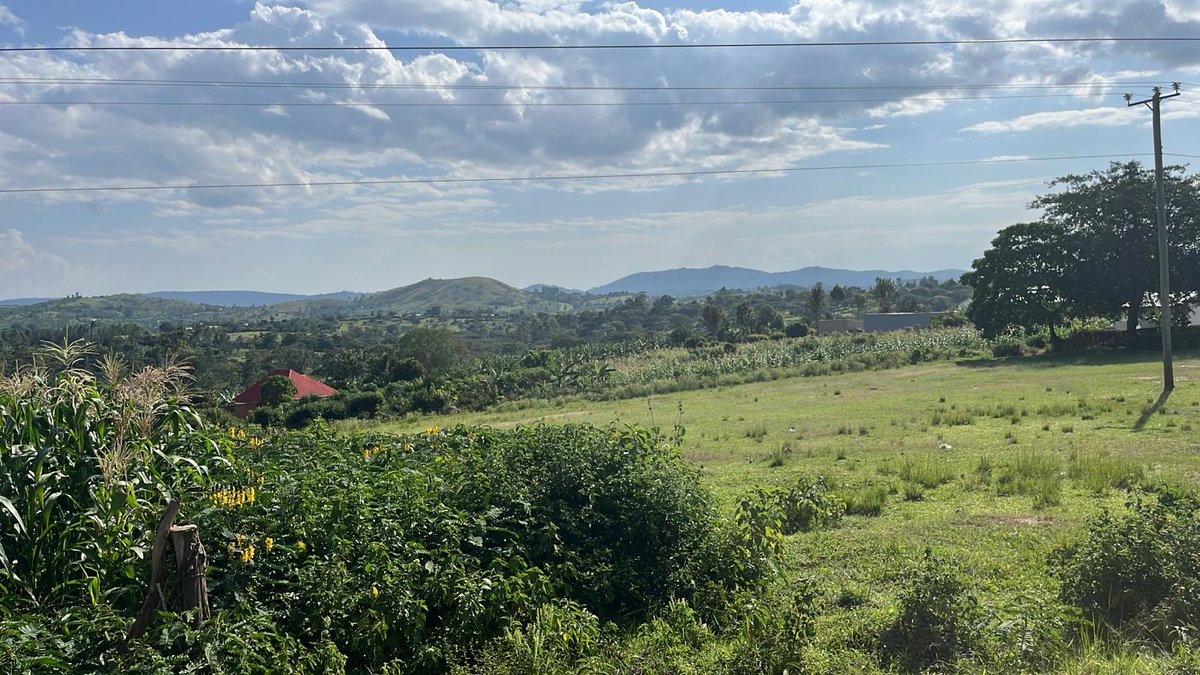 transforme69924's tweet photo. Thank you for journeying with us 🌍
📍 Travel Spotlight 2: TCI in Kiburara, West Uganda
From lush landscapes 🌿 to smiles + celebration 🎉 — our team + TCI scholars reminded us: it’s more than miles. It’s moments and seeds of impact.

#TCITOTHEWORLD https://t.co/4AvbvUsq2R