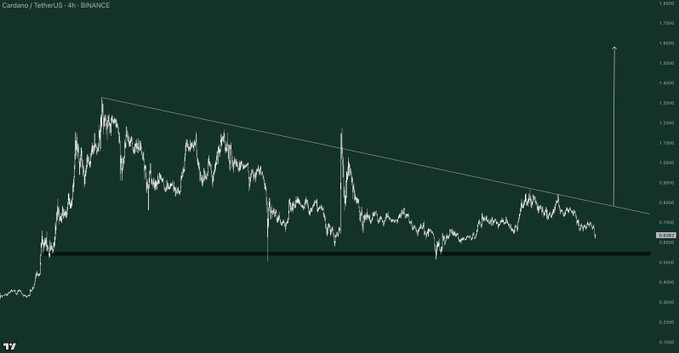 OxManuel tweet media