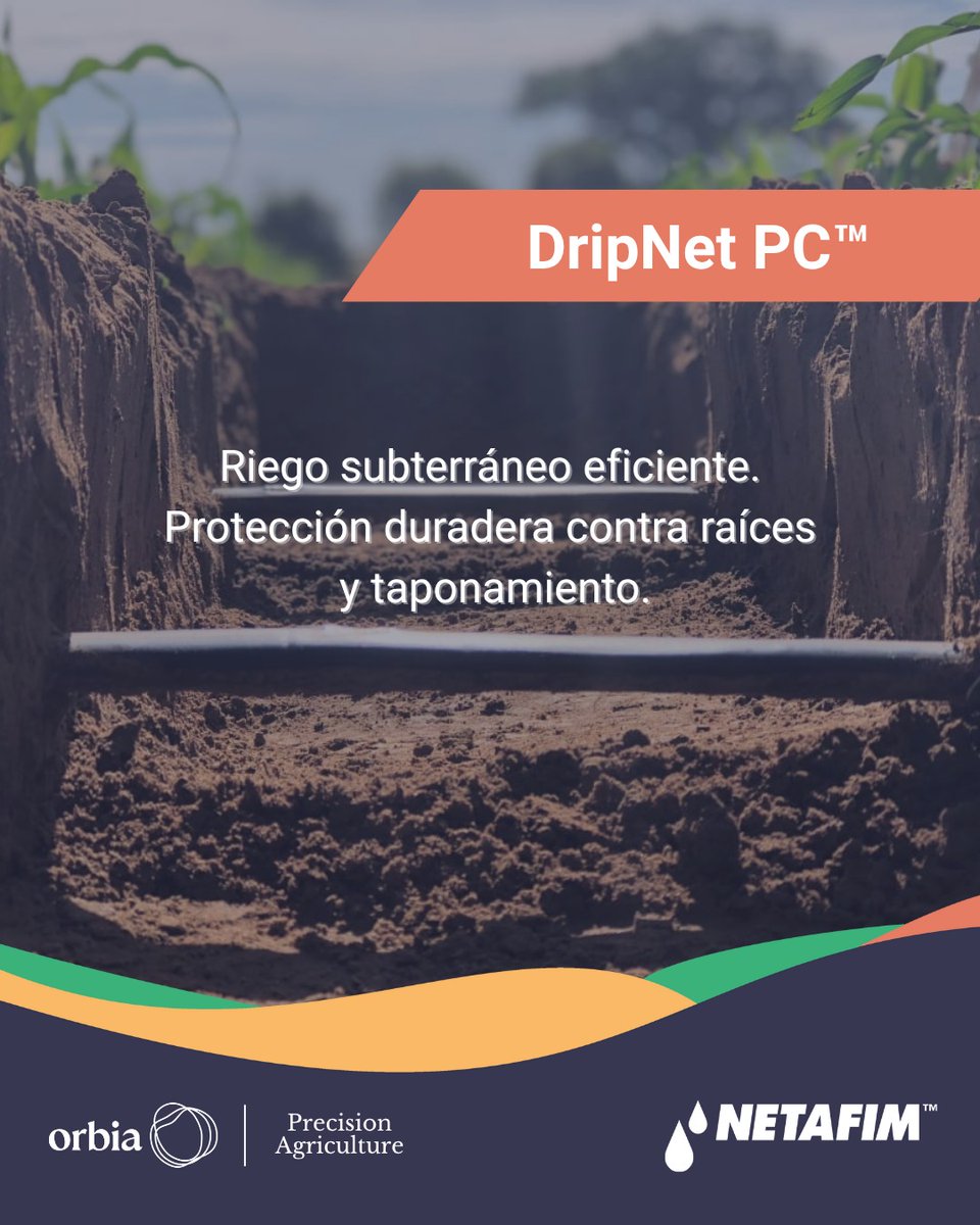 💧 DripNet PC™: riego subterráneo eficiente y sin obstrucciones.

Autocompensado, resistente a raíces y con más de 10 años de vida útil. Económico, durable y pensado para tu campo.

#RiegoSubterráneo #ProducíMásconMenos