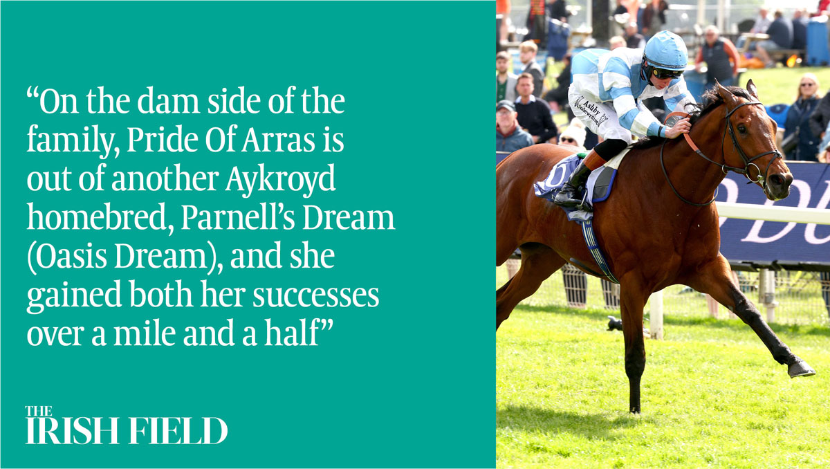 Has your Derby pick got the right pedigree for the job? In The Irish Field this weekend <a href="/PowellLeo/">Leo Powell</a> profiles all 19 Epsom runners. Online from 8pm.